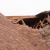 Webster Hurricane Roof Damage by Custom Roofing Solutions LLC